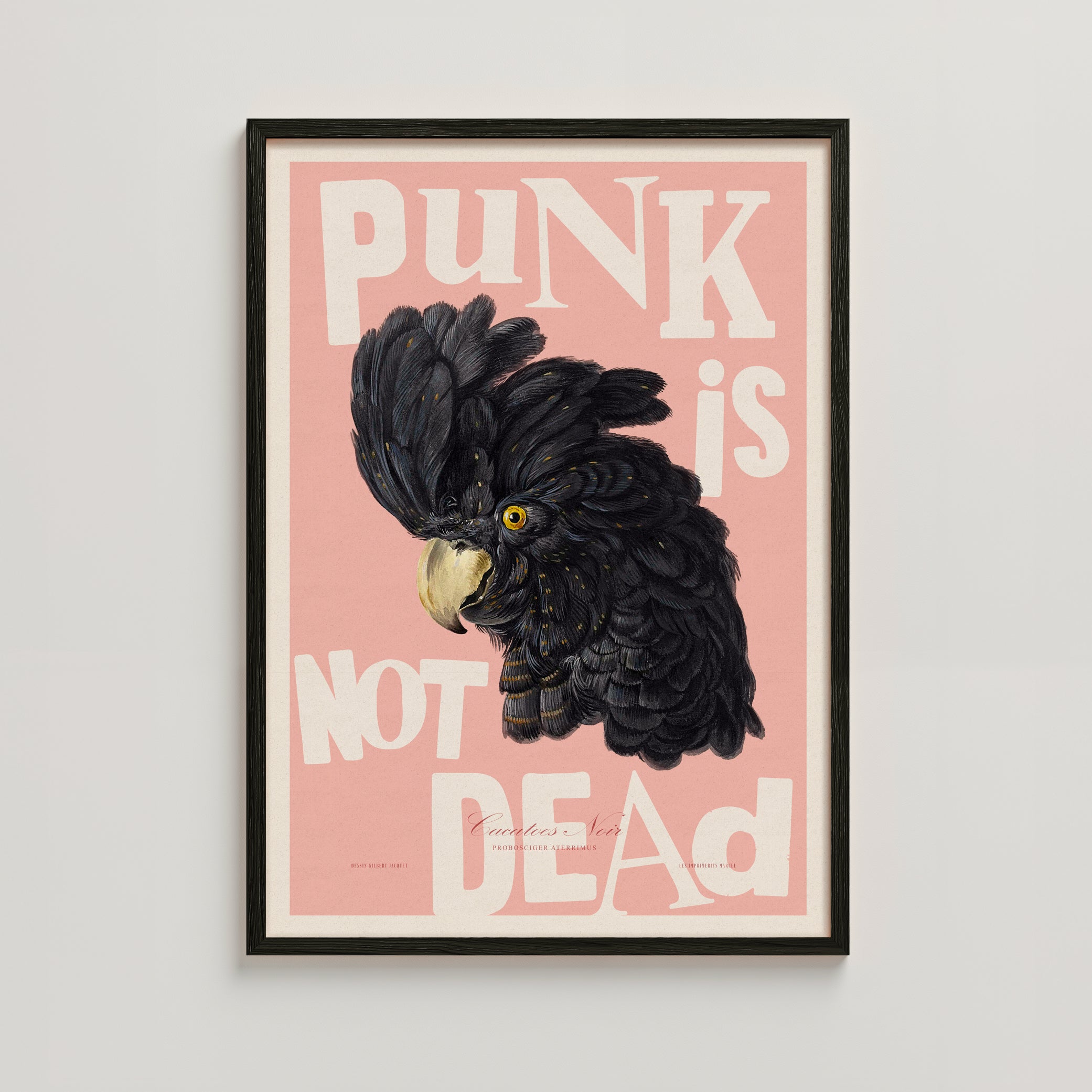 PUNK PINK
