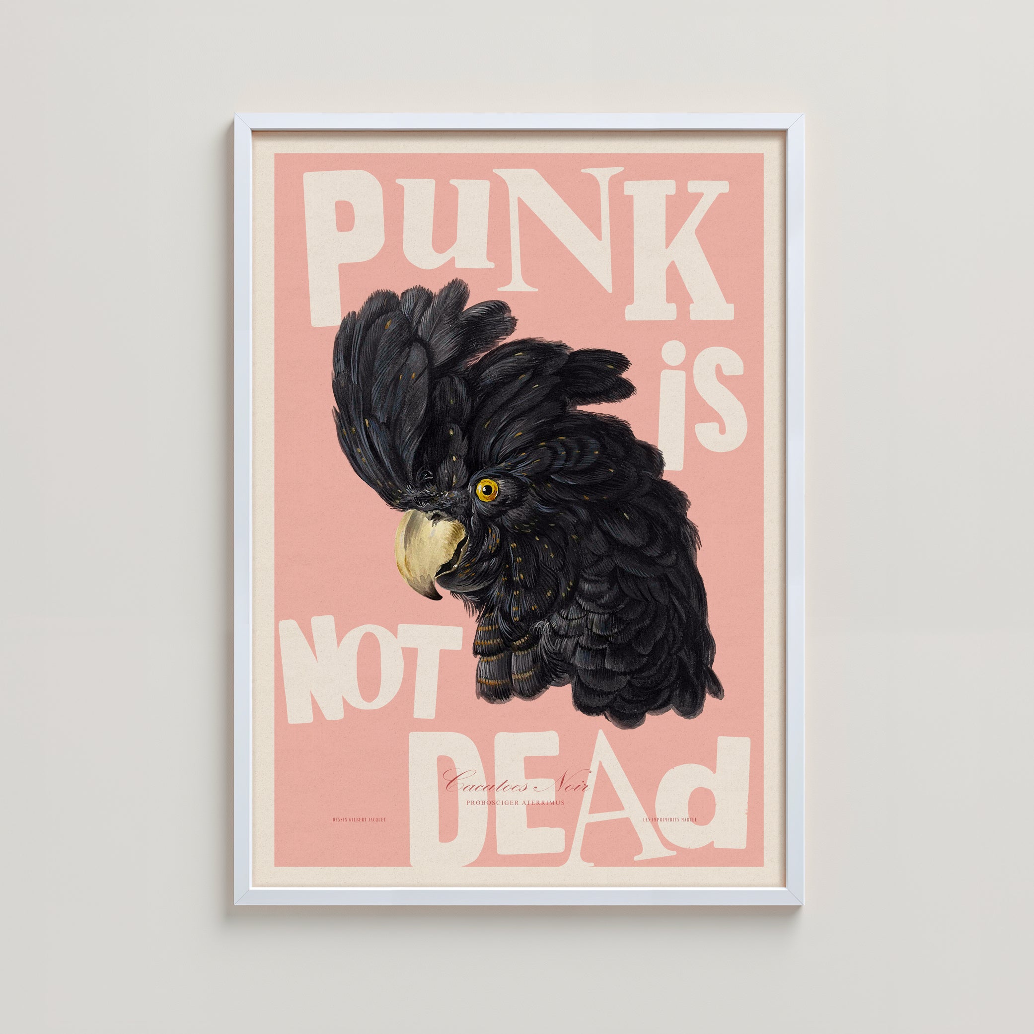 PUNK PINK