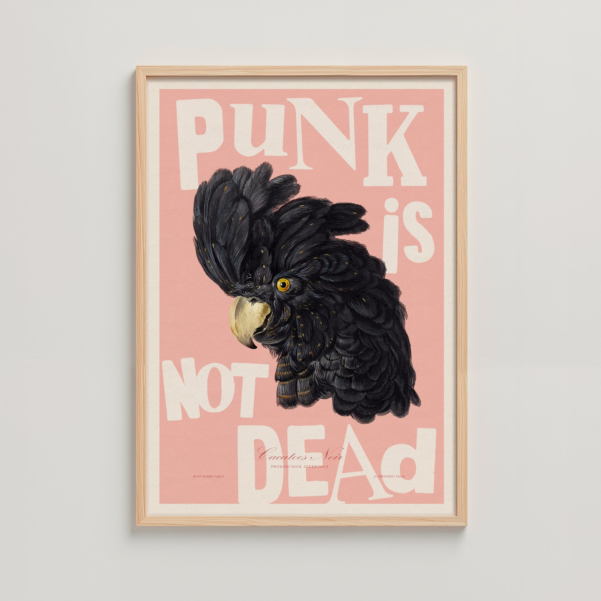 PUNK PINK