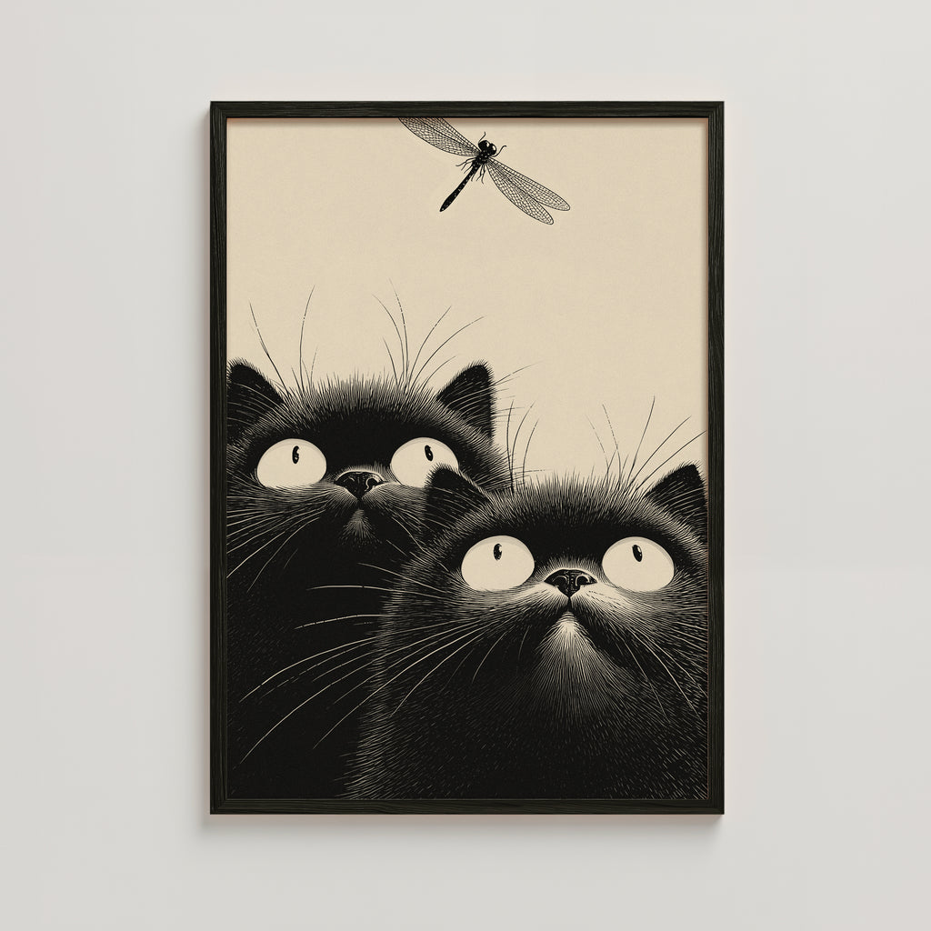 CATS -  DRAGONFLY