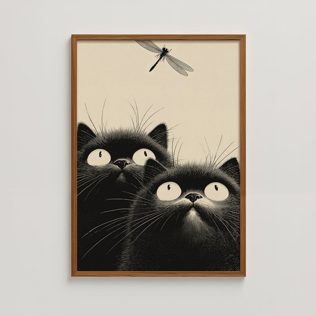 CATS -  DRAGONFLY