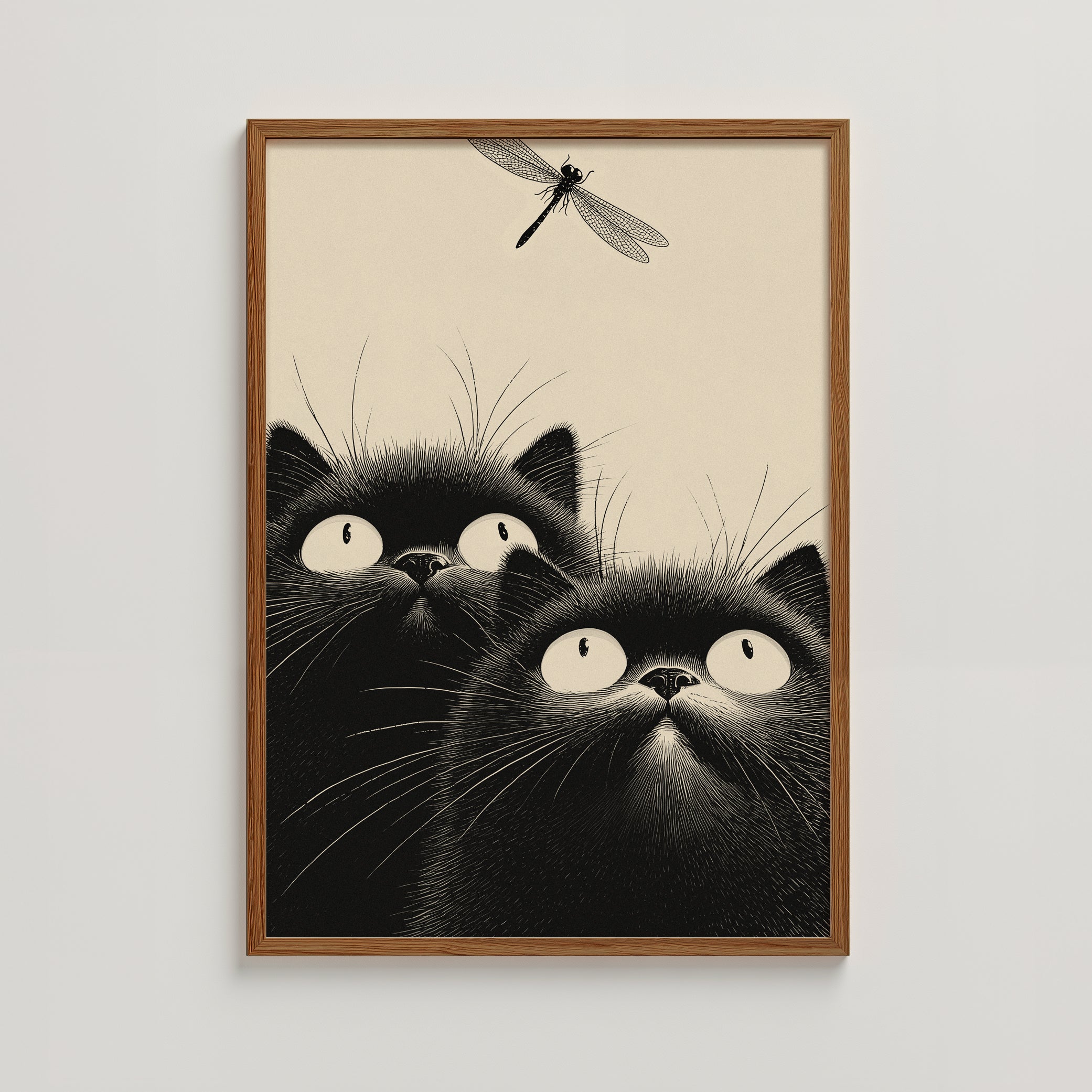 CATS -  DRAGONFLY