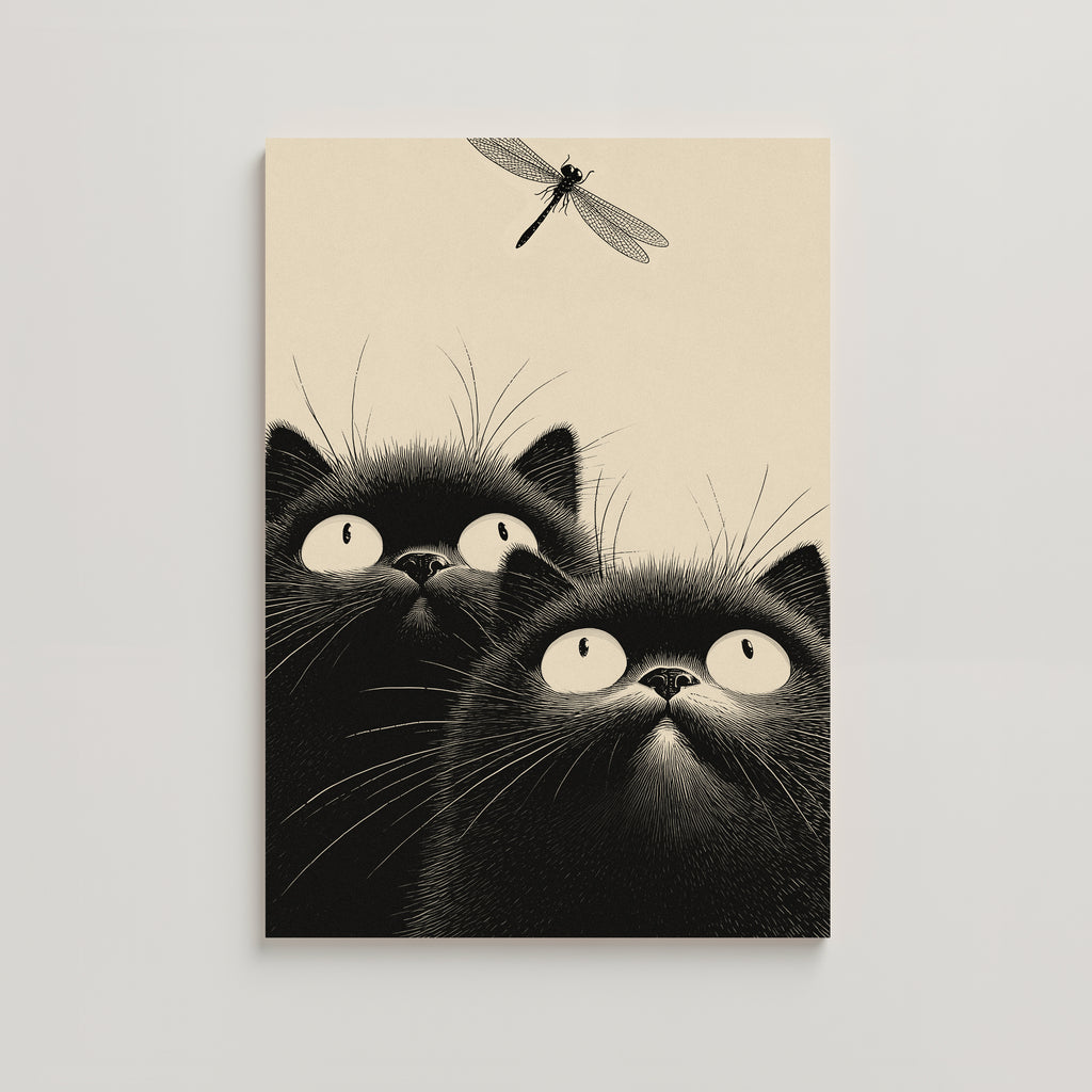CATS -  DRAGONFLY