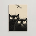 CATS -  DRAGONFLY