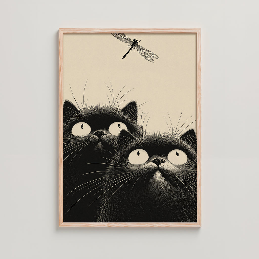 CATS -  DRAGONFLY