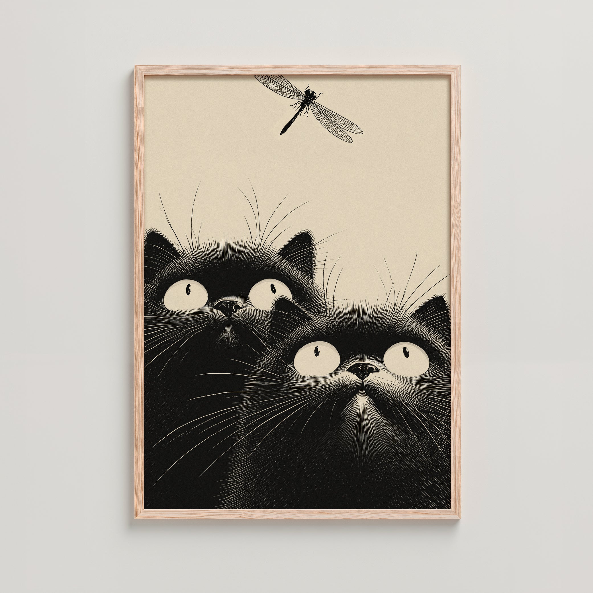 CATS -  DRAGONFLY